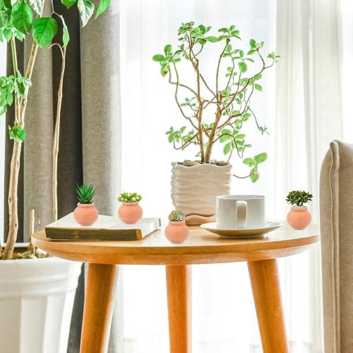 Miniatura 8 de Yardwe 6 macetas de arcilla de terracota, mini macetas de flores para suculentas, cactus, vivero, macetas para bricolaje, hogar y oficina,