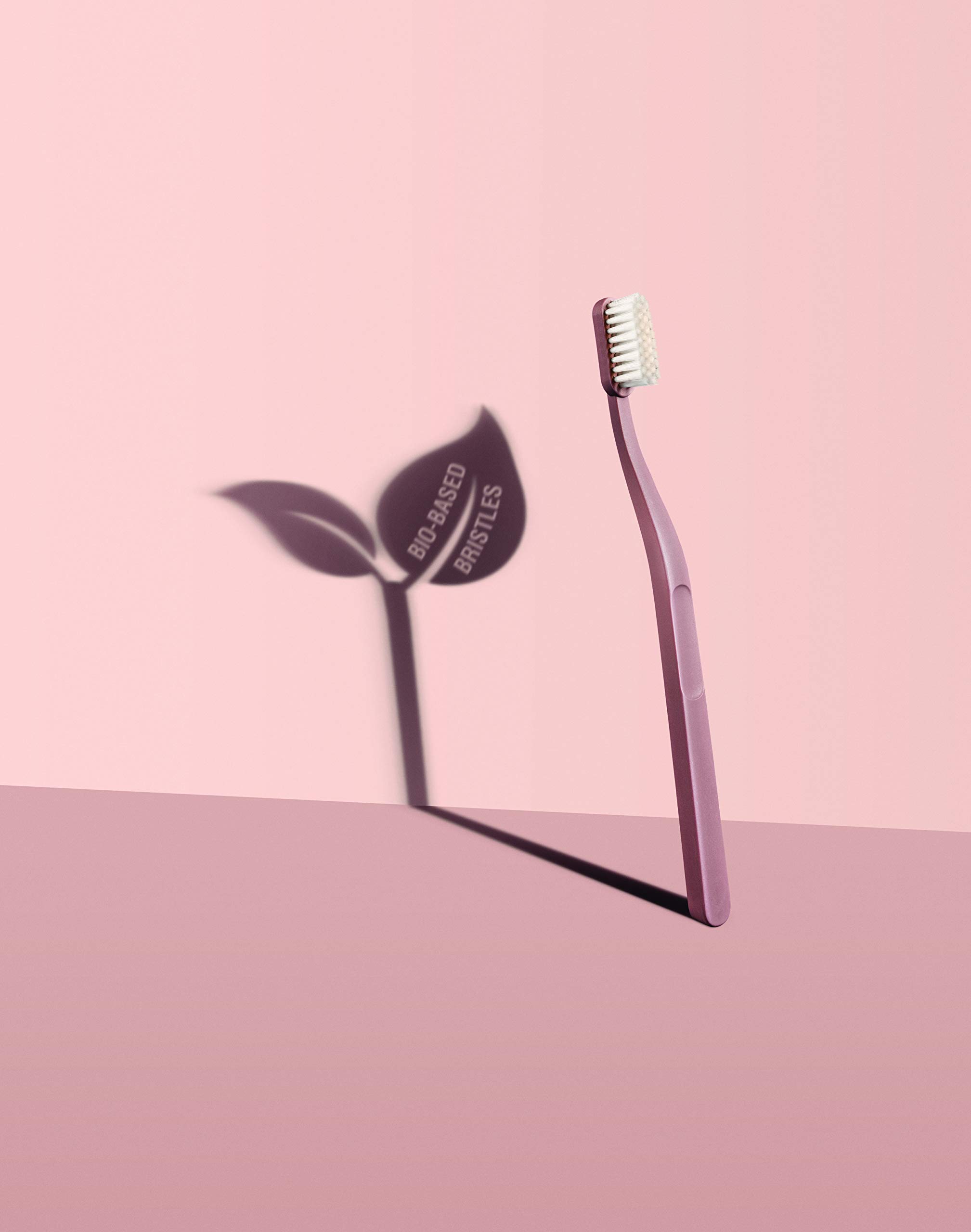 Brosse à Dents Green Clean Medium Jordan