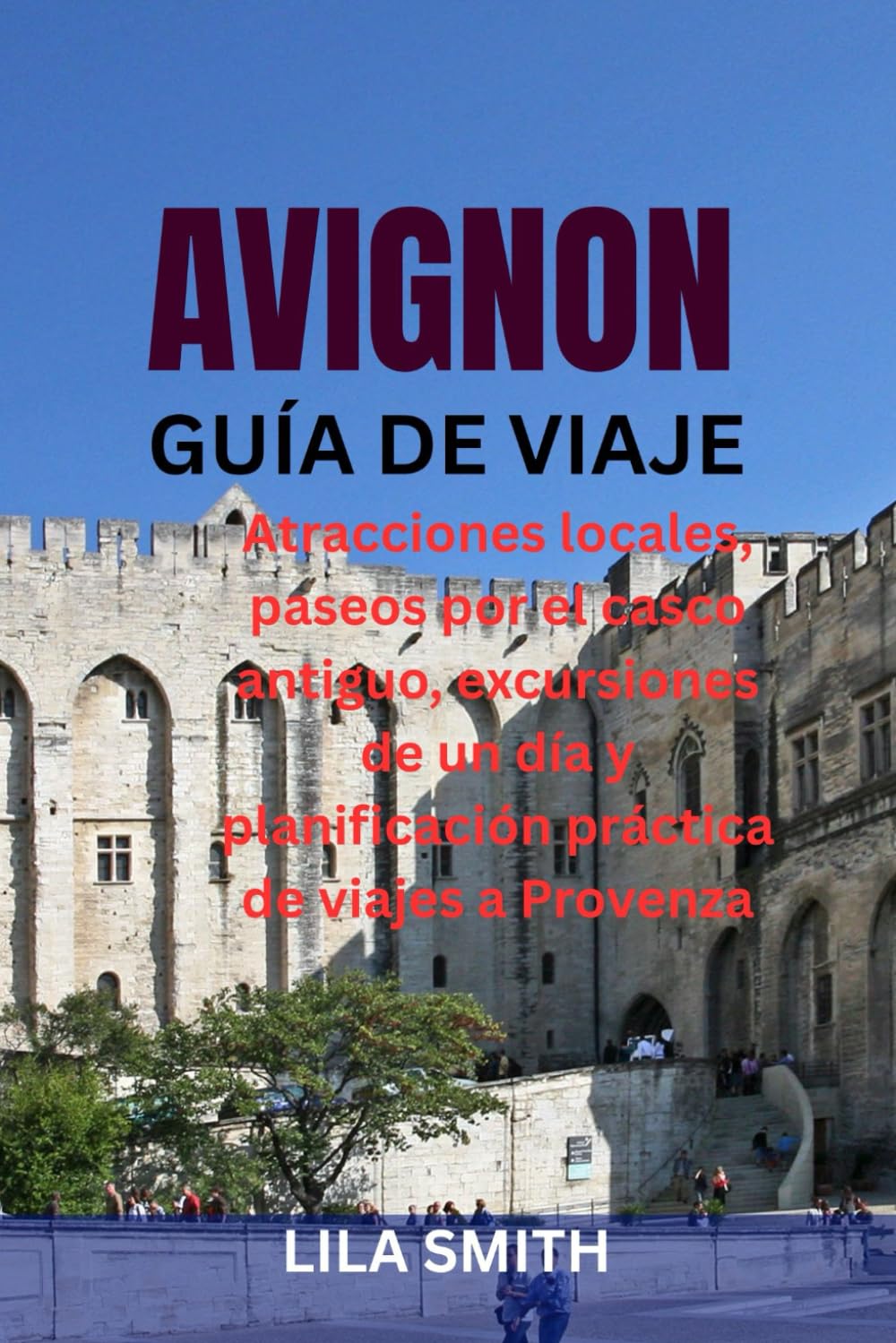 AVIGNON GUÍA DE VIAJE: Atracciones locales, paseos por el casco antiguo, excursiones de un día y planificación práctica de viajes a Provenza