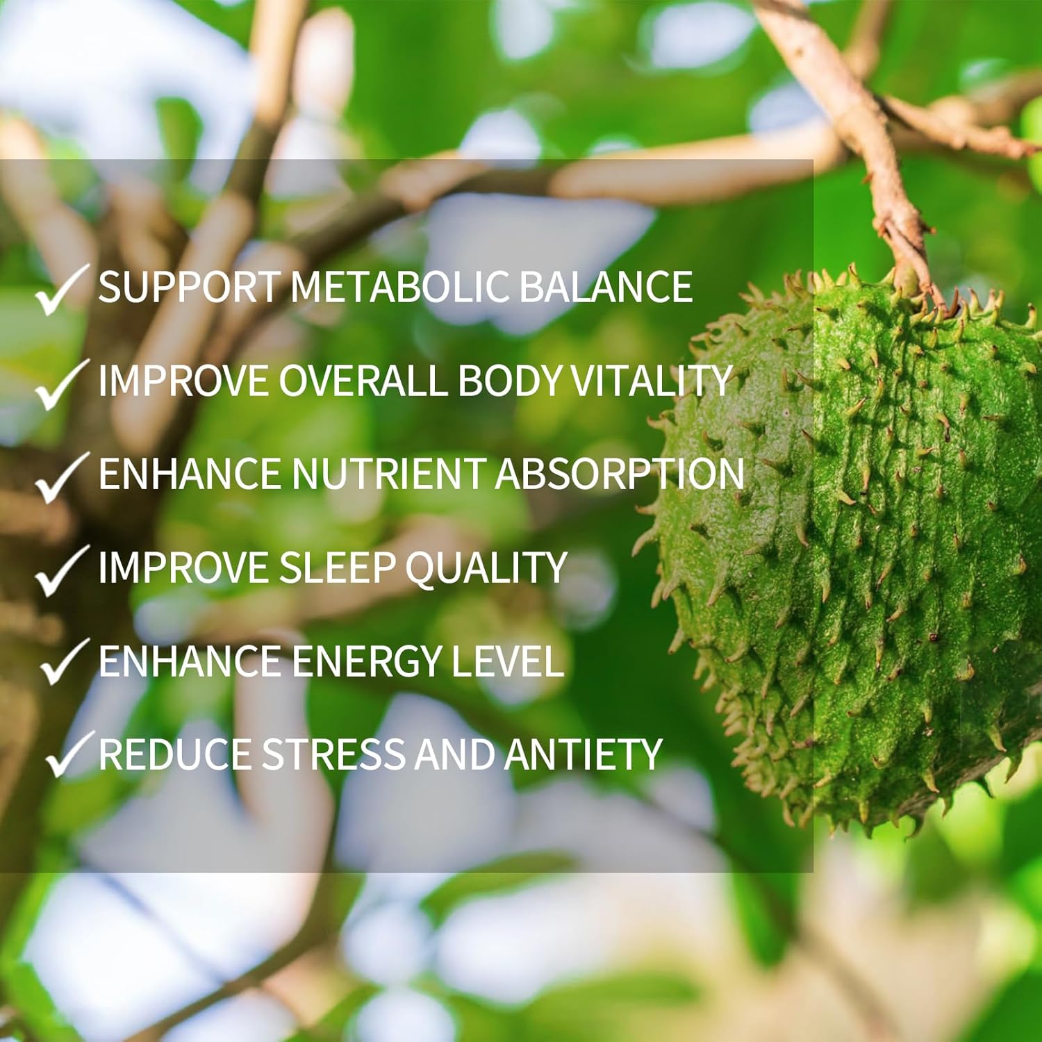 Soursop Natural Drops, Soursop Bitters Liquid Drops, 𝐒oursop Seamoss Moringa Oregano Turmeric Black Seed Oil | Natural, Sugar & Gluten Free | 2 Fl OZ (1) - Image 6