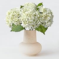 4pcs 20" Ivory White Real Touch Latex Hydrangea Artificial Flowers - Lifelike Boho Stems for Vases, Home Decor & Table Centerpieces