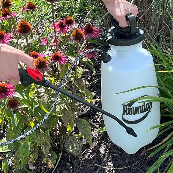 Roundup 190260 2-Gallon Lawn and Garden Sprayer for Controlling Insects and Weeds or Cleaning Decks and Siding