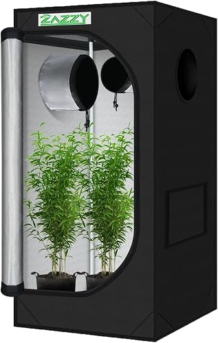 2x2 Grow Tent 24"x24"x48" 600D Mylar Hydroponic Indoor Plant Grow Tent | Observation Window, Tool Bag and Removable Waterproof Floor Tray for Plants