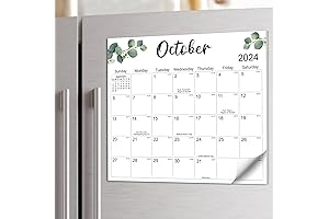 Aesthetic Magnetic Refrigerator Calendar, Running Till June 2026