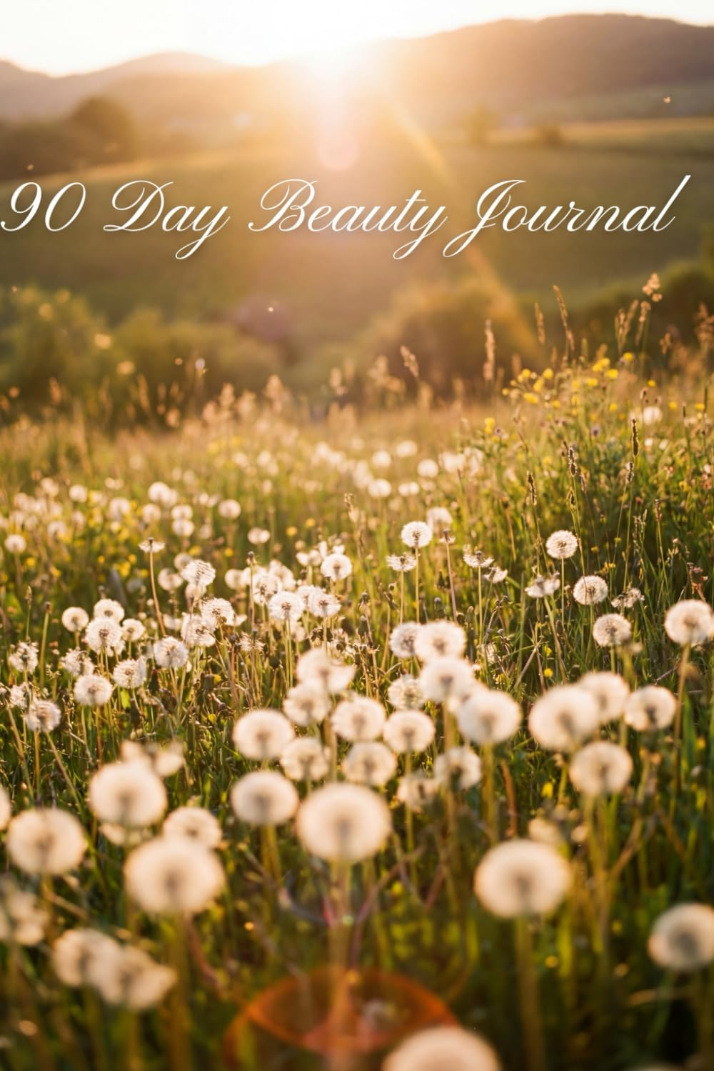 90 Day Beauty Journal