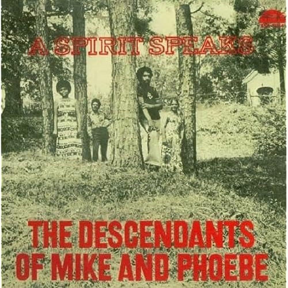 A Spirit Speaks [VINYL]