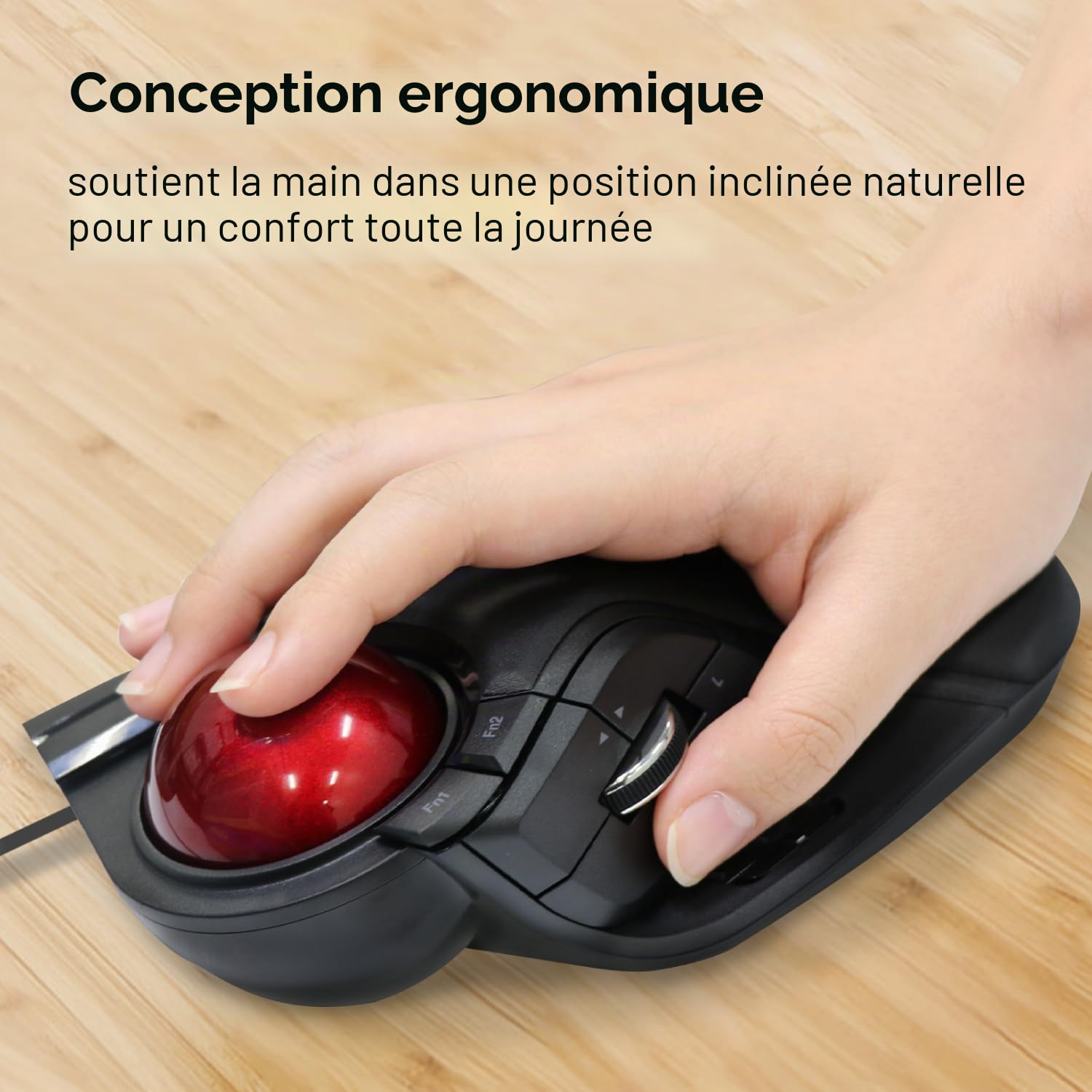 ELECOM Grande Souris trackball Filaire avec Fonction à 8 Boutons, Repose-Poignet attaché, Boule Rouge Lisse Windows11, macOS (M-HT1URBK)