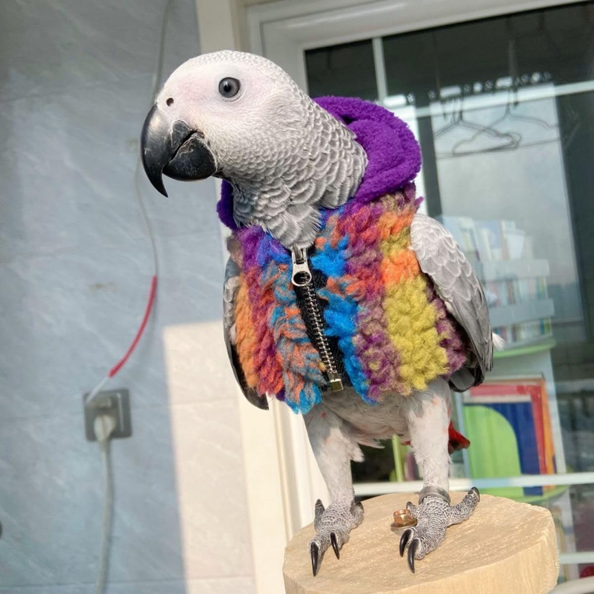 Bird Cloth Christmas Party Birthday Costume for Parrot Halloween Pet Birds Clothes Birds Cosplay Outfit Coat (Colorful,XL)
