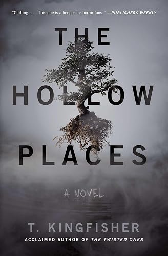 The Hollow Places: A Novel - Paperback