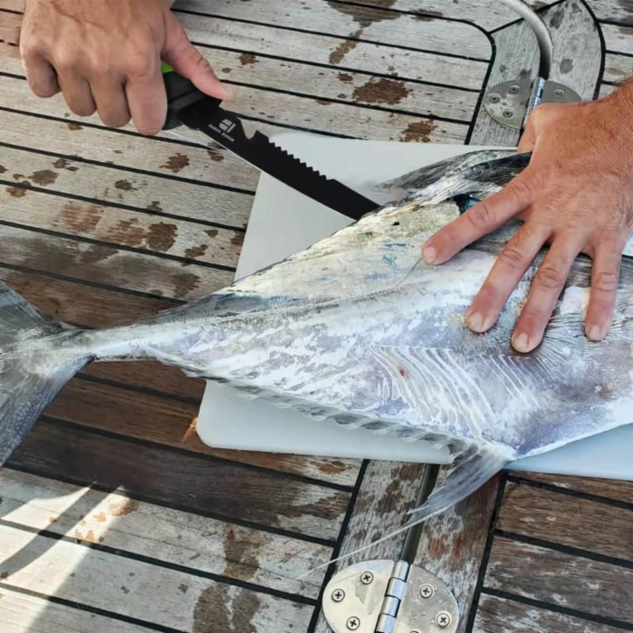 koodbuer Fishing Filet Knives 8.3“, Professional Bait Knives for Filleting Fish and Boning Meat, Sharp Stainless-Steel Non-Stick Coating Blade, Non-Slip Handles&ABS Protective : Sports & Outdoors