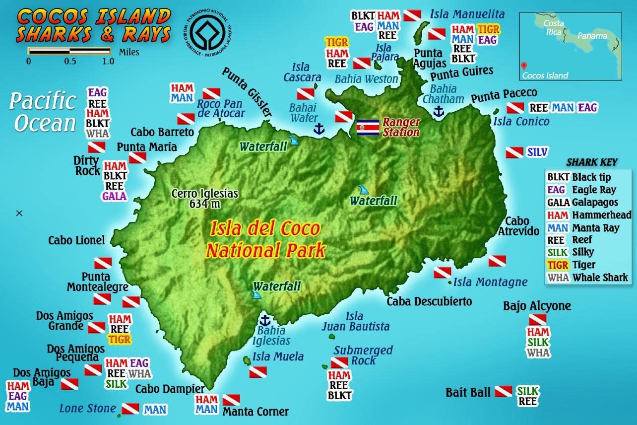 Cocos Island Sharks & Rays Waterproof Fish Card 4" x 6"