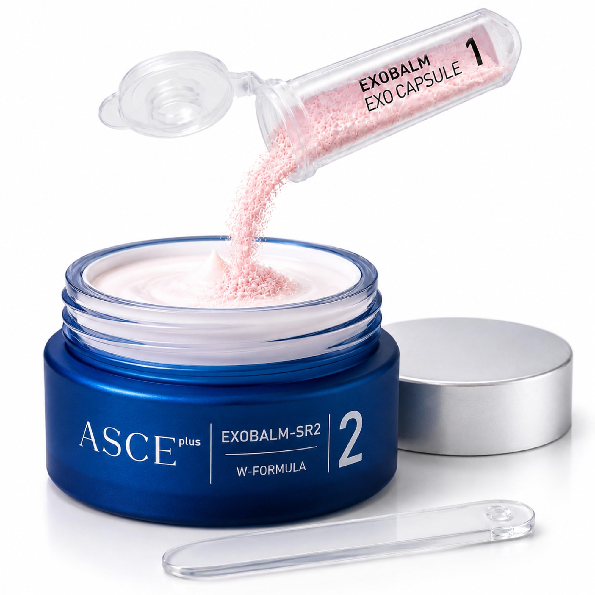 Amazon.com: ASCE+ EXOBALM-SR2 Rose Exosome Night Cream 20ml – Anti