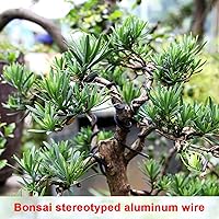 Vista 3 de Queenbox Alambres de entrenamiento de árbol de 32.8 ft de longitud de 0.059 in, rollo de alambre de entrenamiento de bonsái de aluminio anodizado