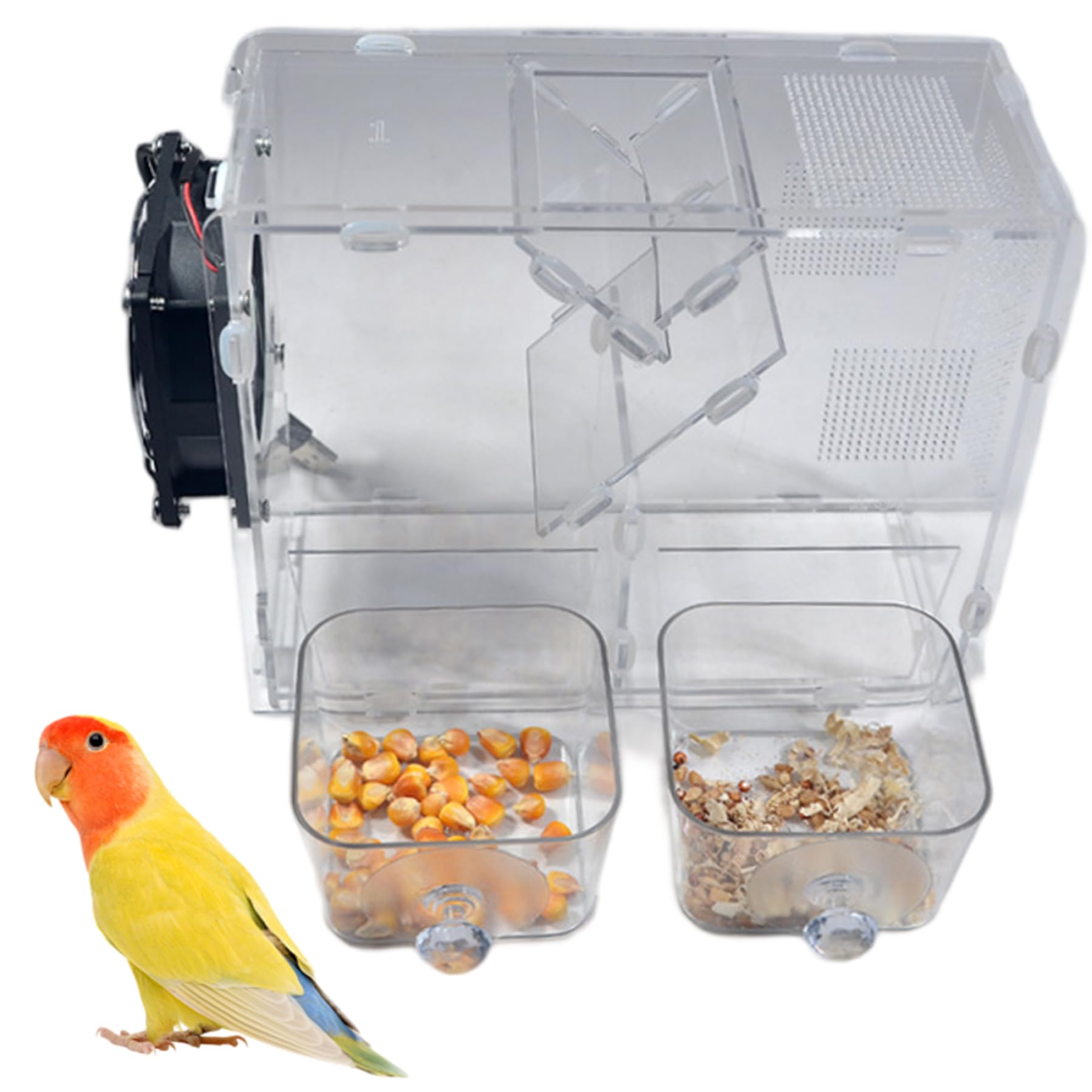 Processeur graines alimenté par USB transparent pour éliminer les coquilles vides