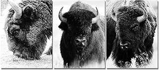 Derkymo Black and White Bison Animals Wildlife Photography Modern Art Rustic Scenic Nature Canvas Wall Art (12x16x3pcs)