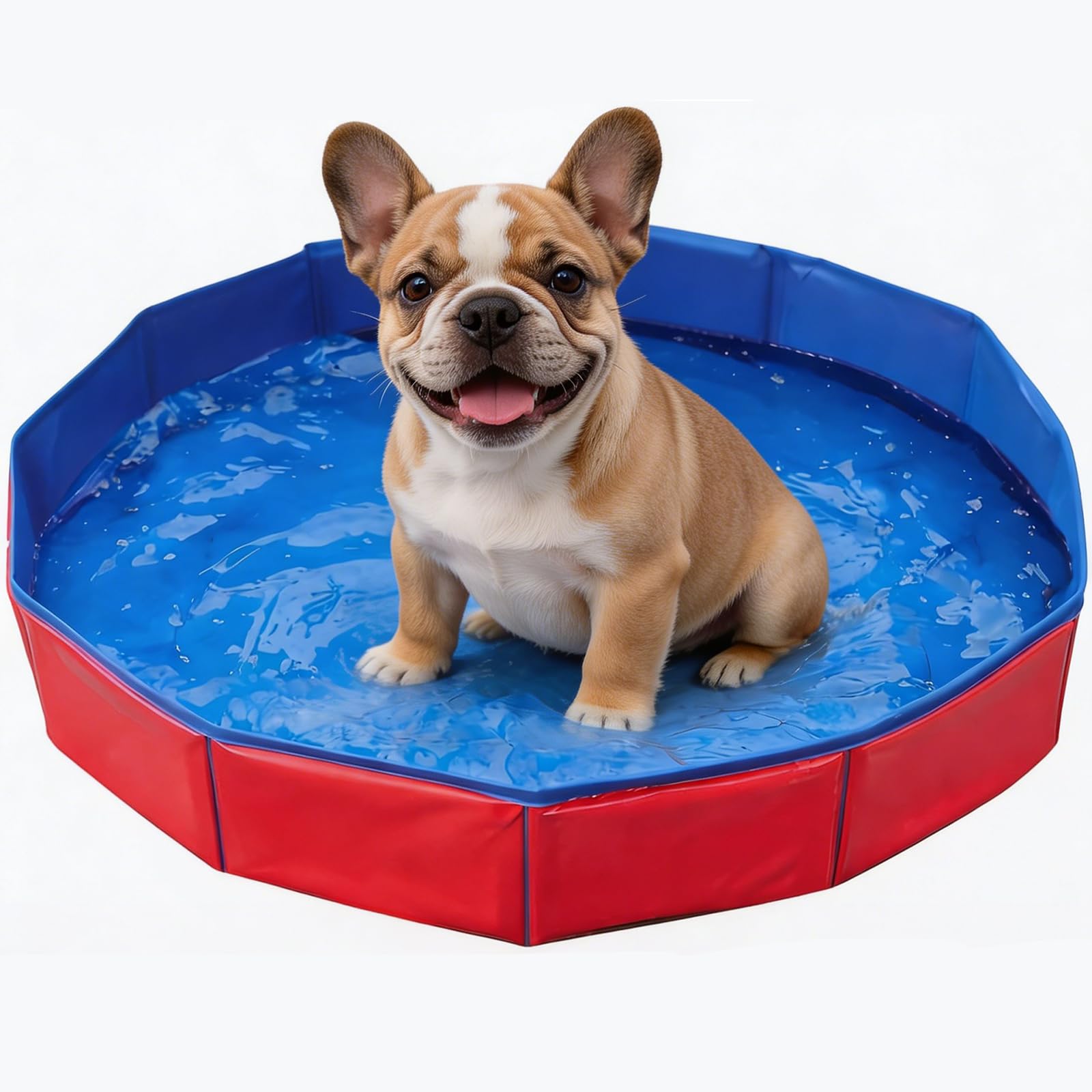 Dog Paddling Pool, Foldable Dog Pool for Small Dogs