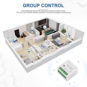Mini WiFi Smart Switch, Light Timer Switch DIY Breaker Module, Smart Life/Tuya App and Wireless Remote Voice Control, Compatible with Alexa Echo and Google Home (100-240V,16A)