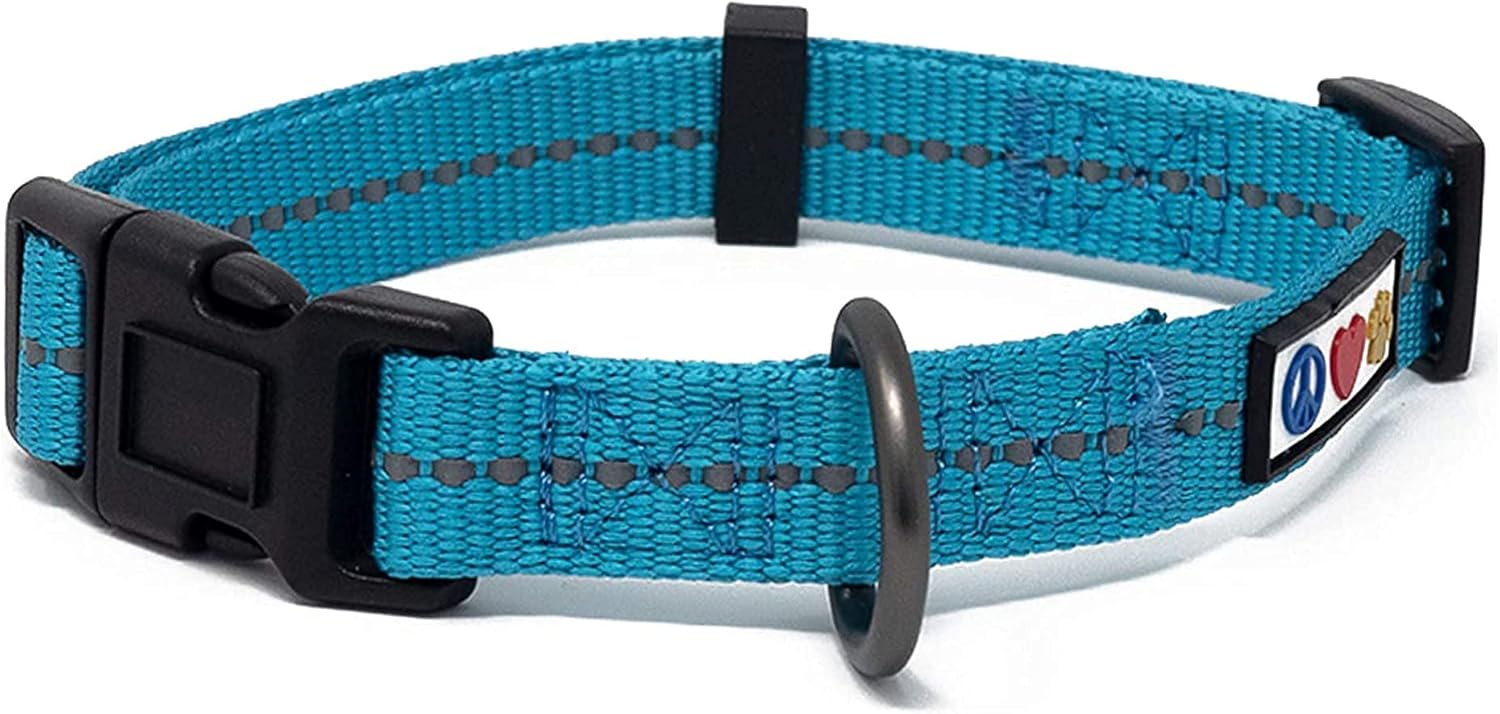 Pawtitas Value Bundle Set | Small Reflective Recycled Dog Harness + Small Reflective Recycled Dog Collar + Extra Small/Small Reflective Recycled Dog Leash – Teal Set