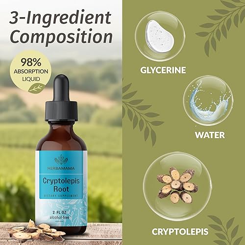 Miniatura 4 de HERBAMAMA Cryptolepis Tincture - Gotas de inmunidad veganas Cryptolepis Sanguinolenta para la desintoxicación general - Suplemento de apoyo