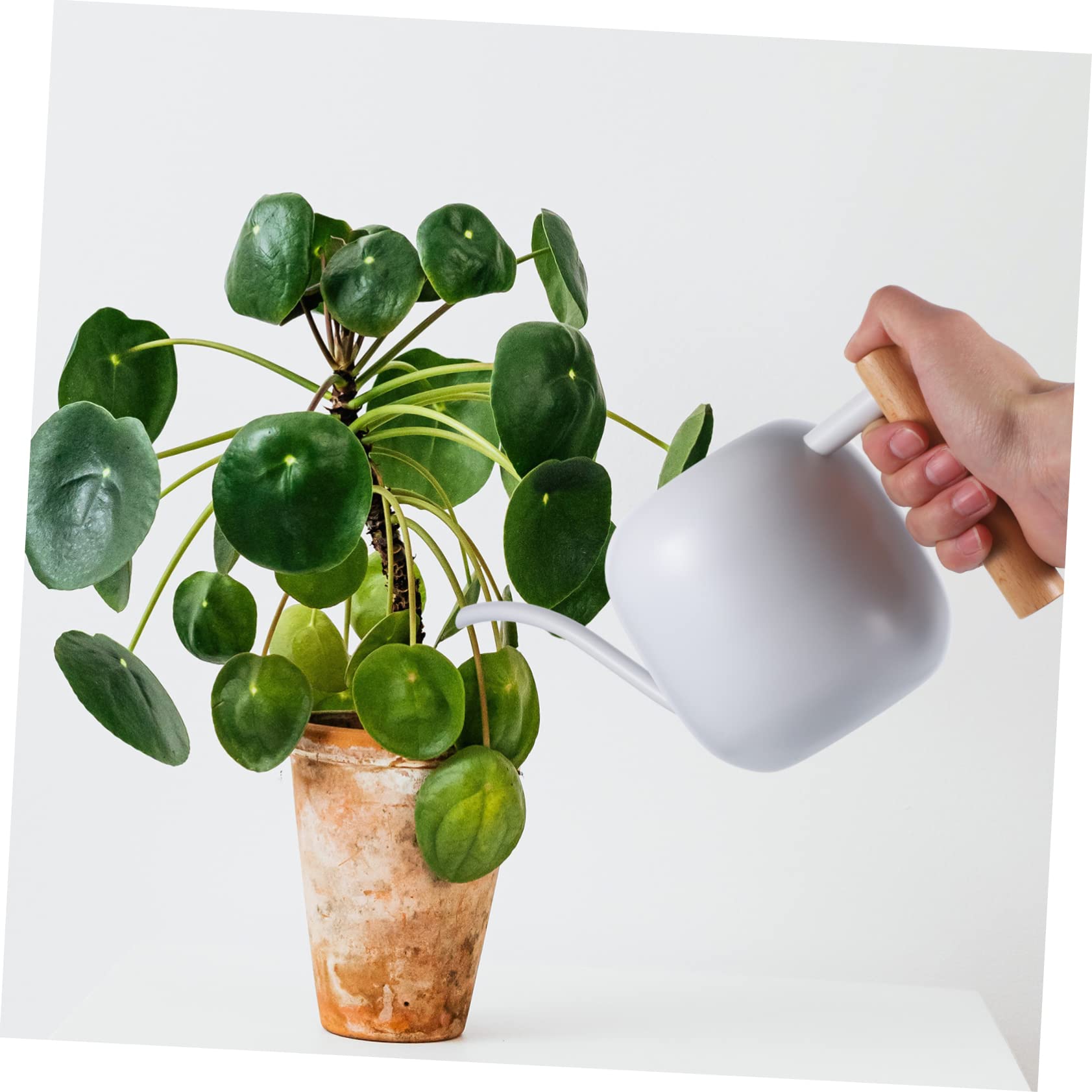 Regadera De Inoxidable Mango De Madera De Boca para Riego De De Interior y Jardín Capacidad De Diseño Ergonómico para Cómodo