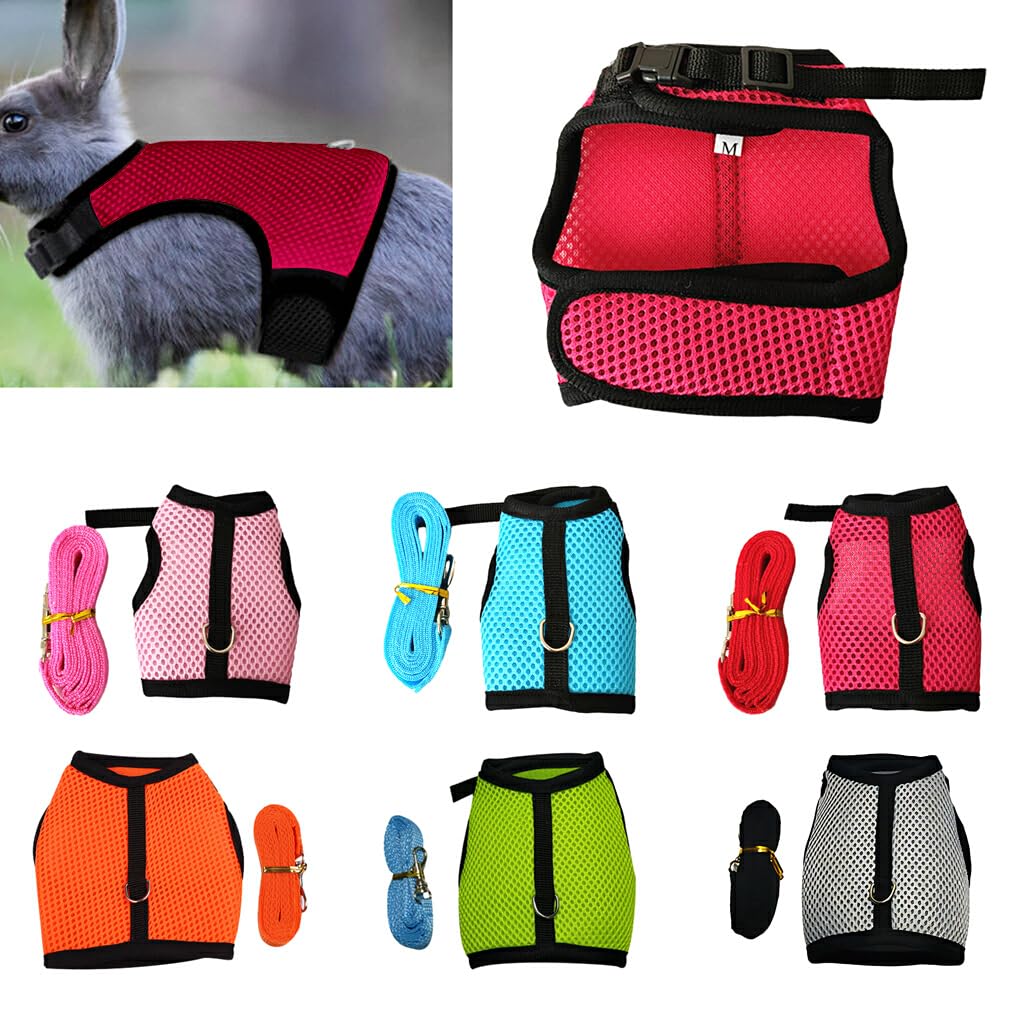 WUUISDNX Correa de arnés de Conejo cómoda y Ligera, aplicación Amplia, cómodo de Llevar, Naranja L