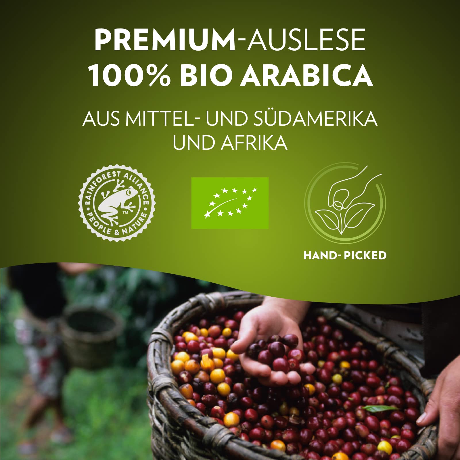 Lavazza Espresso Tierra For Planet Bio-Organic 10 x 10 Aluminiumkapseln kompatibel mit Nespresso* Originalmaschinen