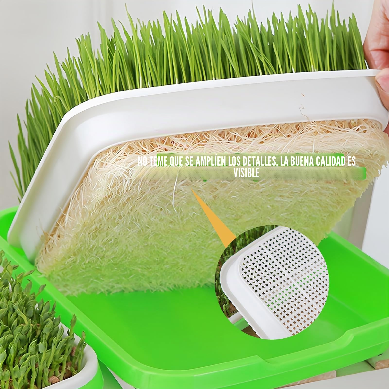 5 bandejas para brotes, juego de cultivo de brotes, berros, recipiente para germinar pasto de trigo, bandeja de germinación, para el cultivo de frijoles mungo alfalfa y hierba de trigo, 32,5 x 23,5 x