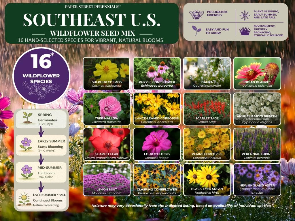 North Carolina Bulk Perennial Wildflower Seed Mix 1lb Covers 2,000sq-ft - Attract Pollinators, Multi-Color Blooms - Southeast US Species Plant in Spring/Fall, Earth-Friendly Packaging (1/4 Pound)