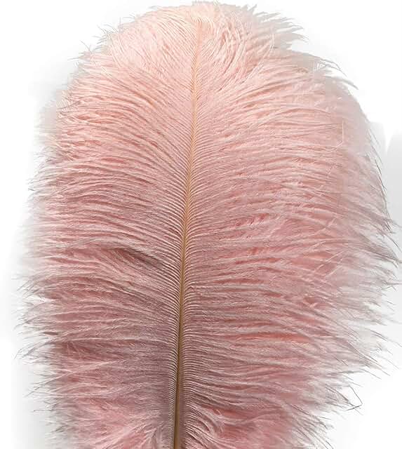 Lampu 10pcs Ostrich Feathers 12-14 inch(30-35cm) Plume Home Wedding Decoration（Light Pink）