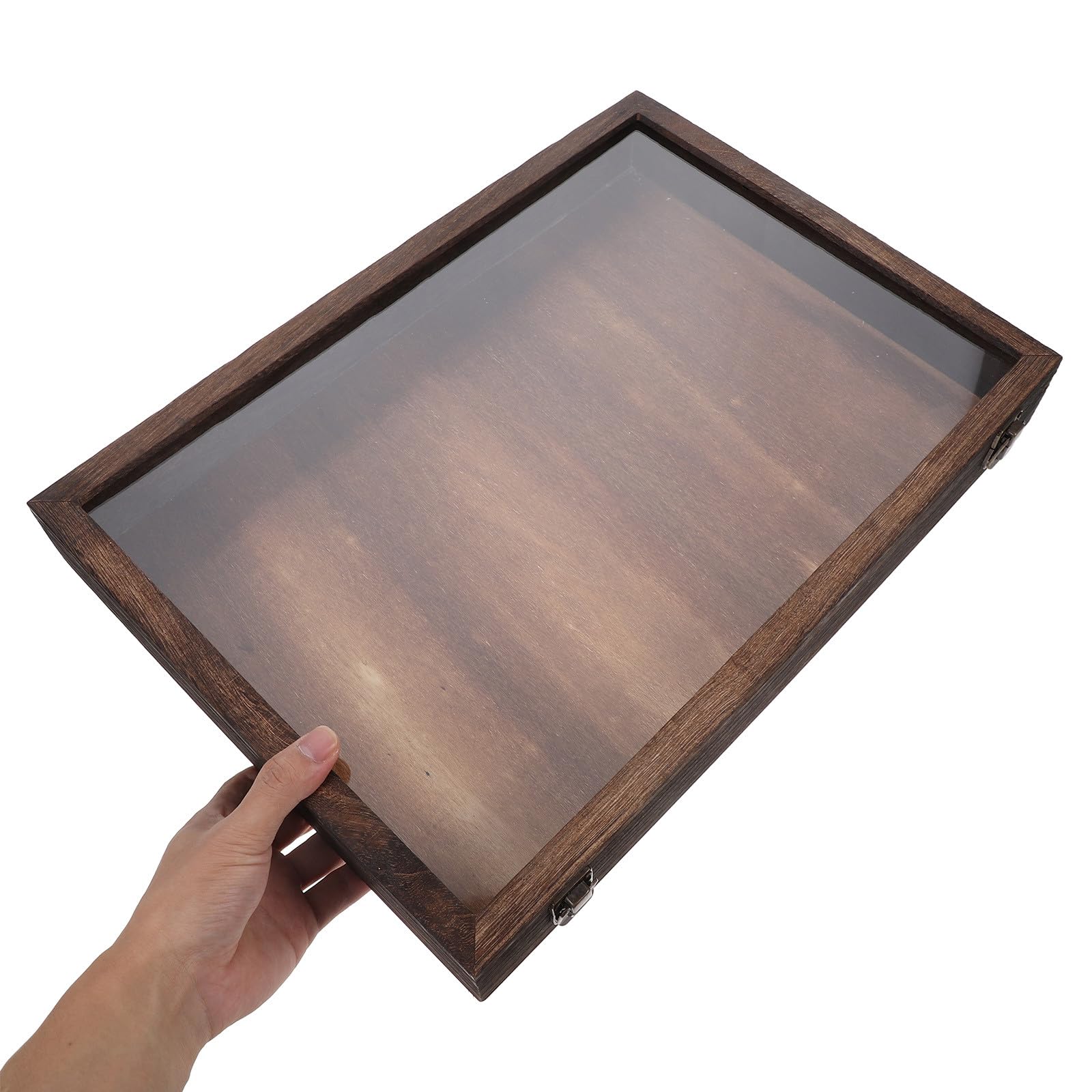 Caja de Exhibición y Gran Capacidad de Madera Tapa Transparente de Especímenes para Protección Soporte Rectangular Elegante para Mostrar y