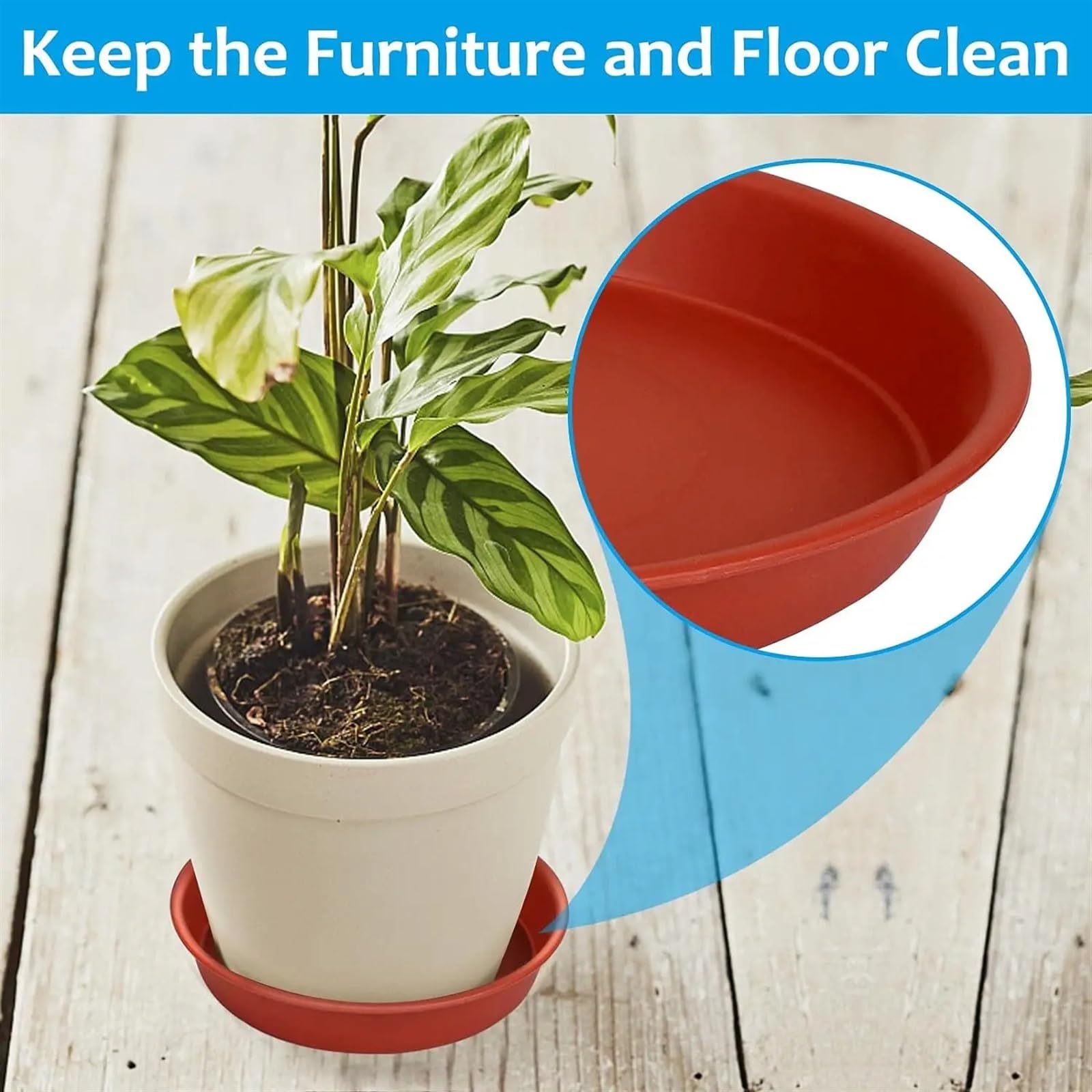 Juego de 5 platillos for plantas, redondos, con goteo, bandejas de PP más gruesas for plantas, macetas for interiores y exteriores, suministros for el jardín del hogar Bandeja Para Macetas(5Pcs Brown