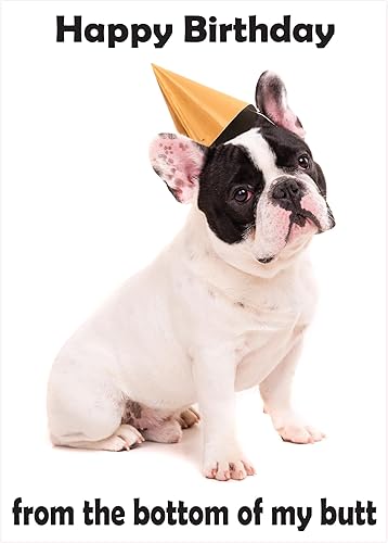 Miniatura 29 de Glory To Dog Te conseguí un pastel de cumpleaños y estaba delicioso Feliz cumpleaños de La Tarjeta de cumpleaños de perro con sobre de felicitación