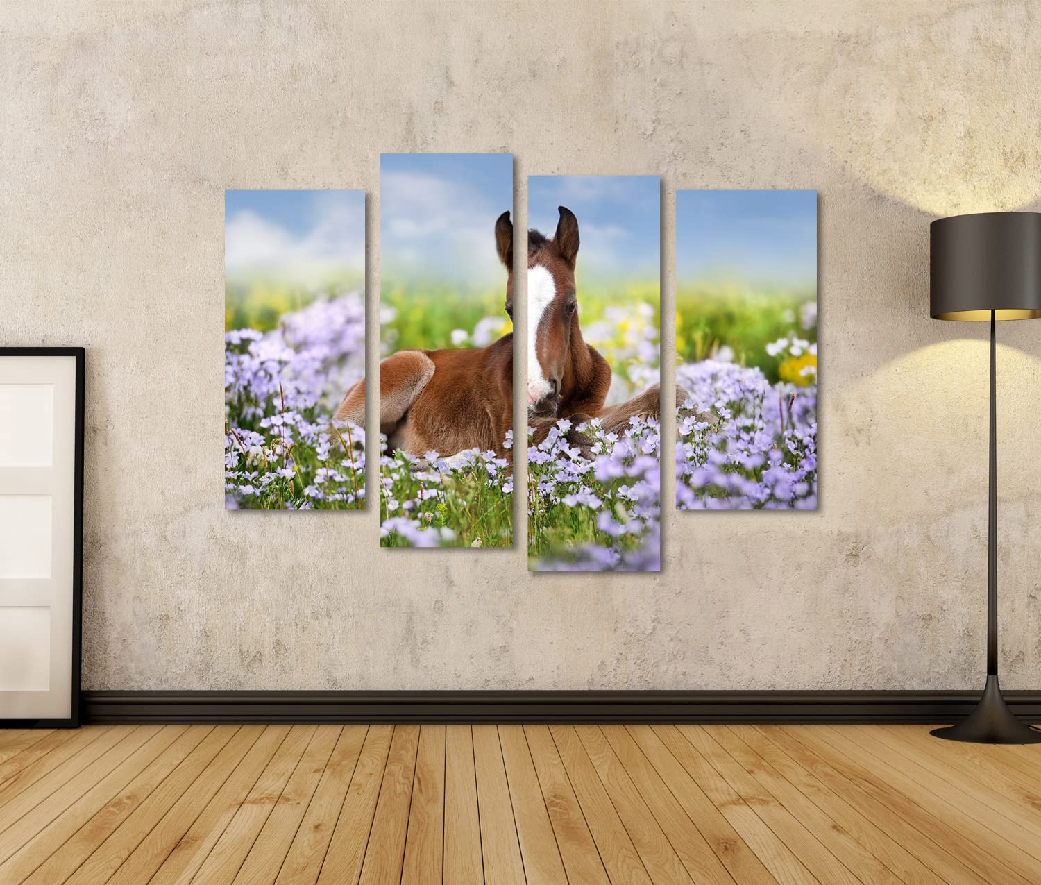 islandburner - Cuadro sobre lienzo (potro lindo sobre flores de prado, pequeño caballo suave para habitación de los niños, marco para póster de pared