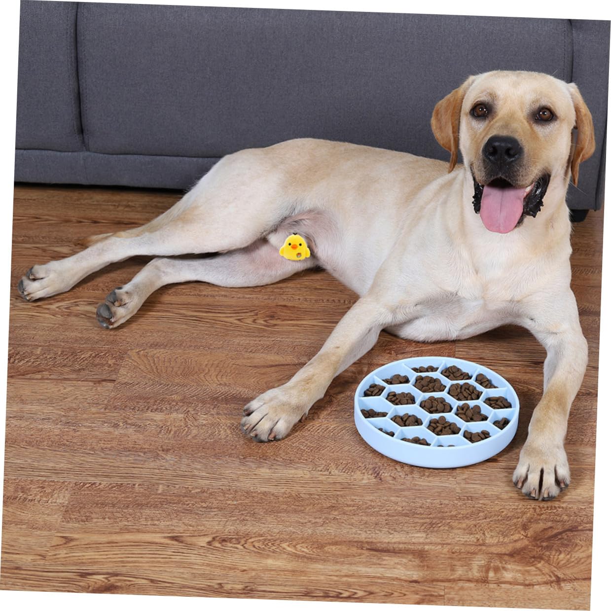 Levemolo Ciotola per Cani Anti-ingozzamento in Silicone Design Unico e Angoli Arrotondati, Ciotola Lenta per Cani Blu per Prevenire Vomito e Gonfiore