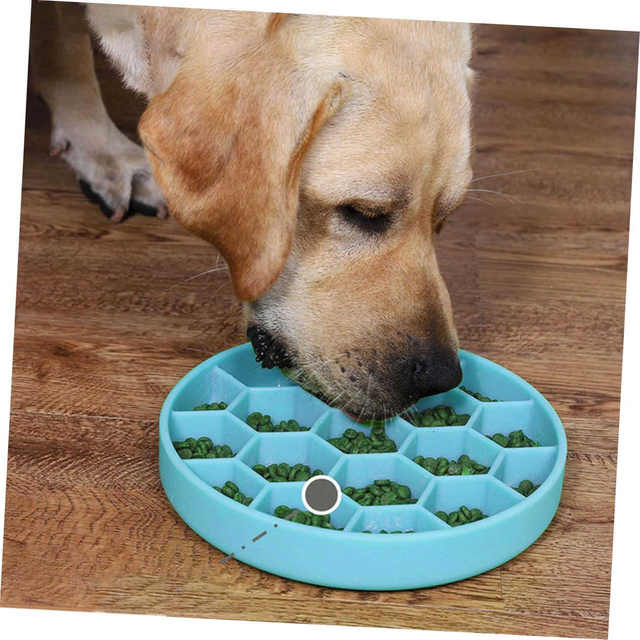 Langsamer Indigestion Silikon und Futterspender für Rutschfestem mit Hunde von Design Abgerundeten Ecken Anti Erstickungs Napf zur Vorbeugung Blähungen im Alltag
