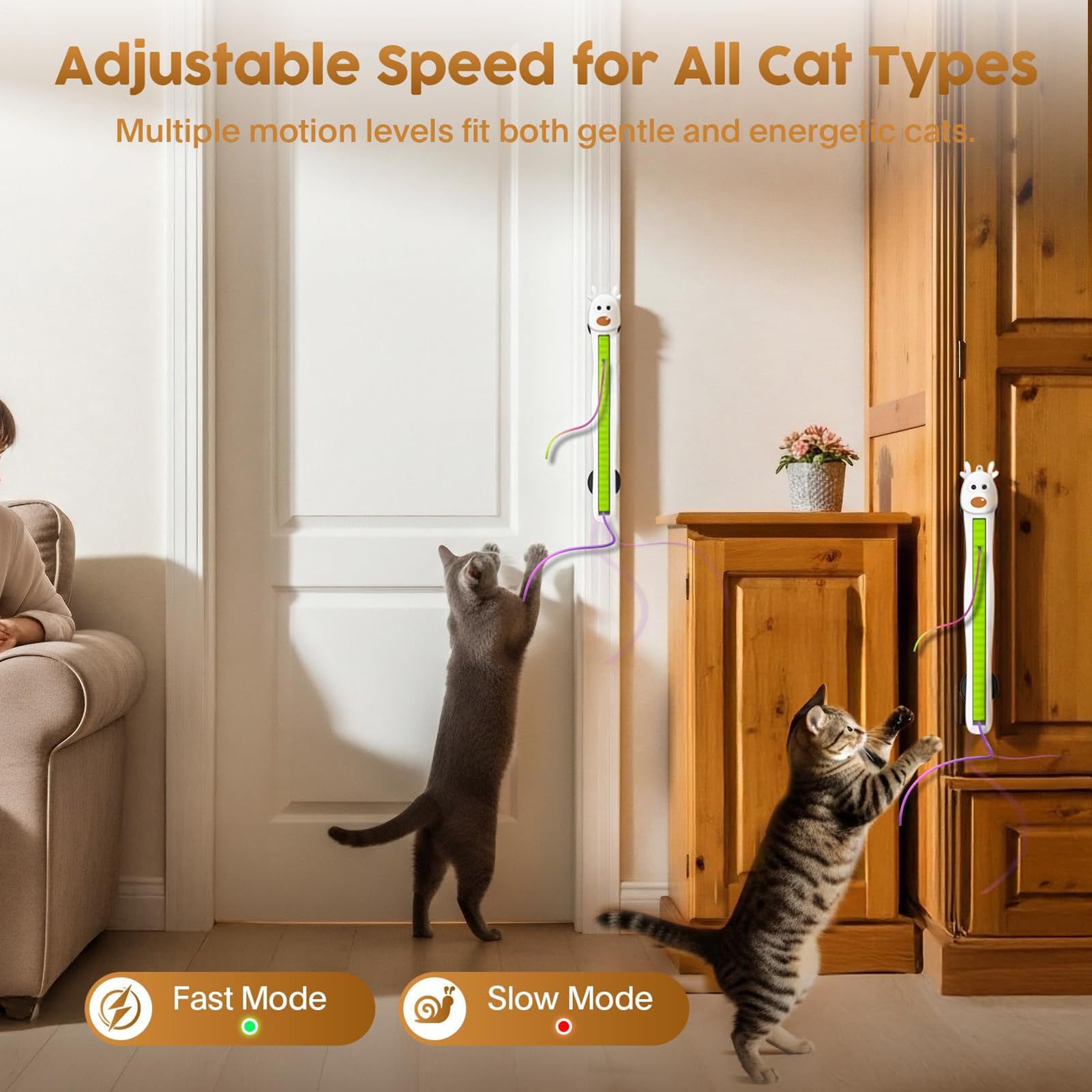 Jouet automatique pour chat - Corde volante d'entraînement murale - rechargeables pour enrichir le chat - Coin, appartement, aire de jeu, maison, cuisine, chambre