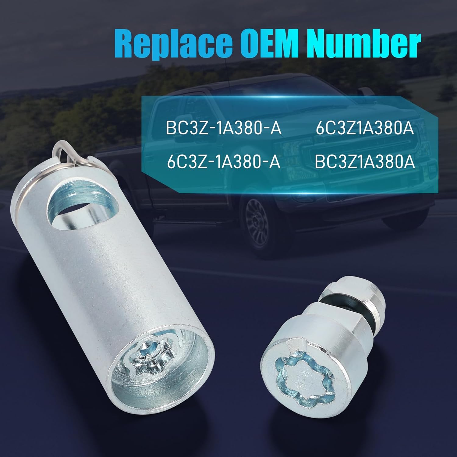 BC3Z-1A380-A Spare Tire Carrier-Lock Assembly - Compatible with Ford F-250 F-350 F-450 F-550 Super Duty 2006-2016, Replaces 6C3Z-1A380-A BC3Z1A380A 6C3Z1A380A