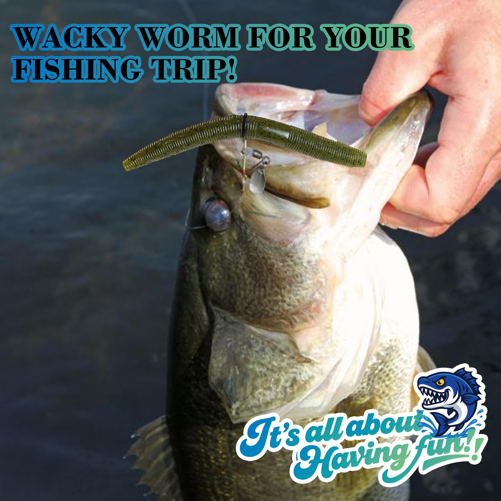 CWSDXM 50/131pcs Wacky rig kit,4in Fishing Worms Lures,Wacky Worm Fishing Lure Kit for Bass Trout : Sports & Outdoors