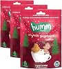 Humm Organic Organik Zencefilli Tarçınlı Vegan Kurabiye 1 Paket(55 Gr x 1 Adet) (3 paketi)
