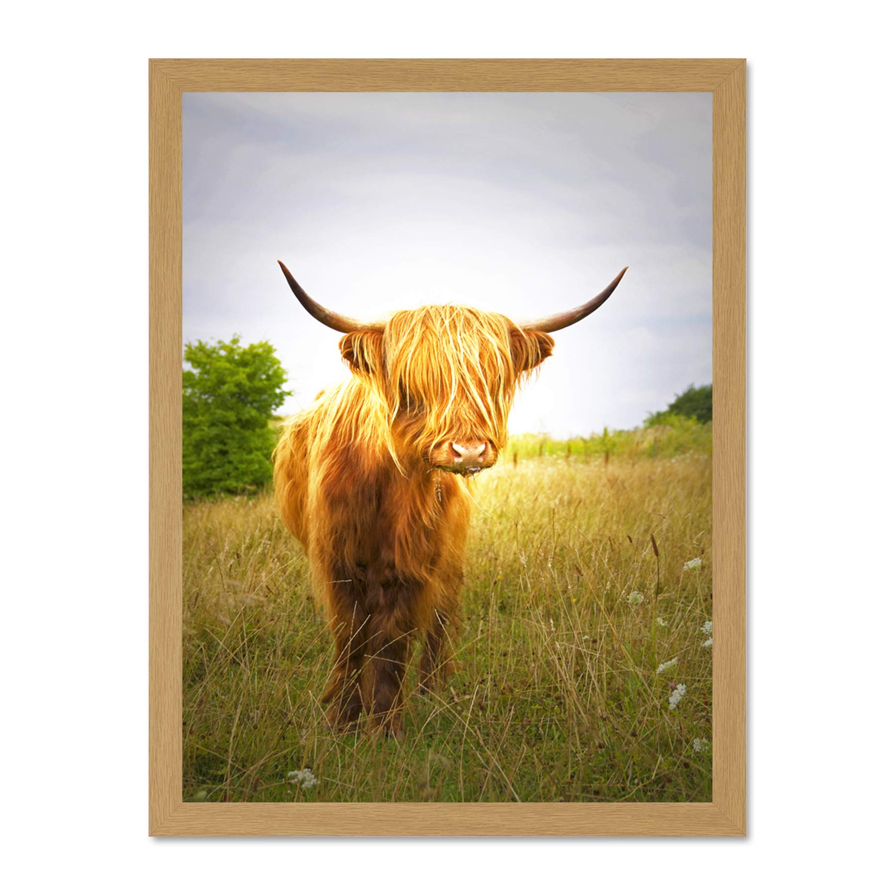 Wee Blue Coo Photo Farm Livestock Animal Highland Cow Calf Scotland Large Framed Art Print Poster Wall Decor 18x24 inch