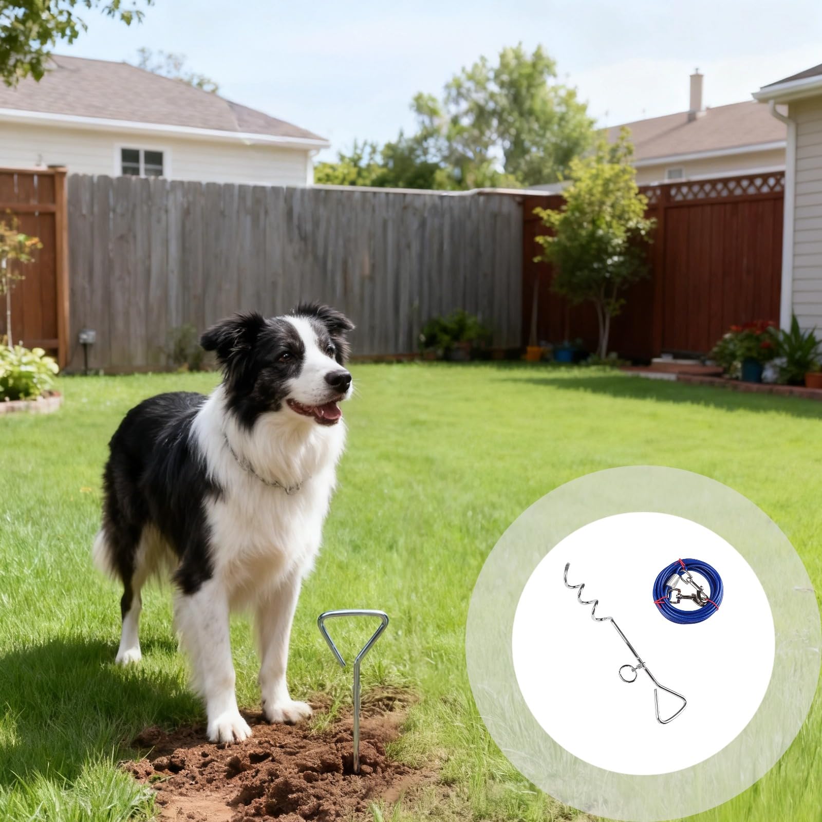 Guinzaglio per cani, picchetto, ancoraggio a spirale da 41 cm con cavo da 5 m, robusto ancoraggio per cani con picchetto in acciaio cromato e corda in acciaio rivestita in PVC