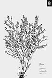 An Elegant Puzzle by Larson