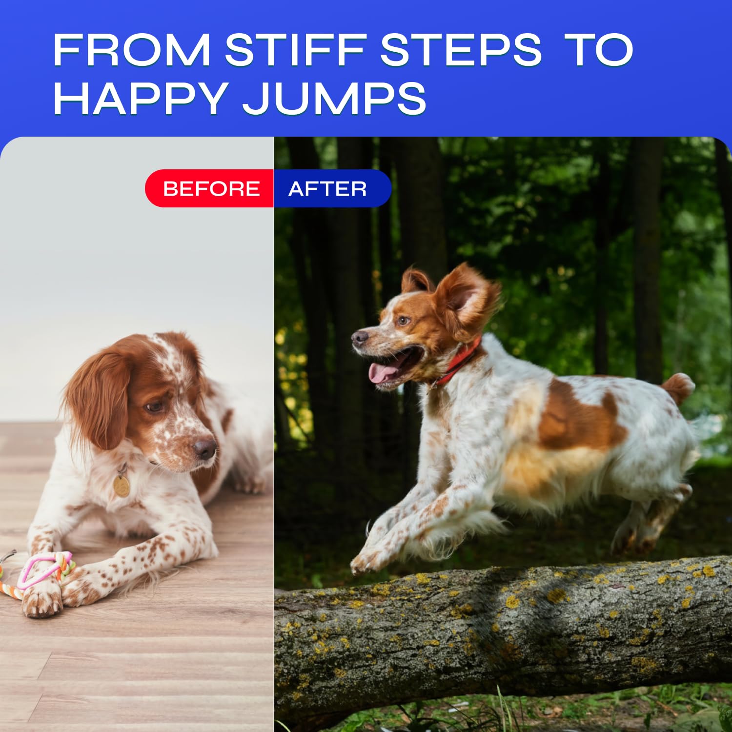 Glucosamine for Dogs - 32,500 mg per Pack with Chondroitin, MSM, Collagen - Dog Glucosamine Chews for Mobility Support - Hip and Joint Supplement for Small, Medium, Large Breeds - 130 Soft Duck Treats - image 7