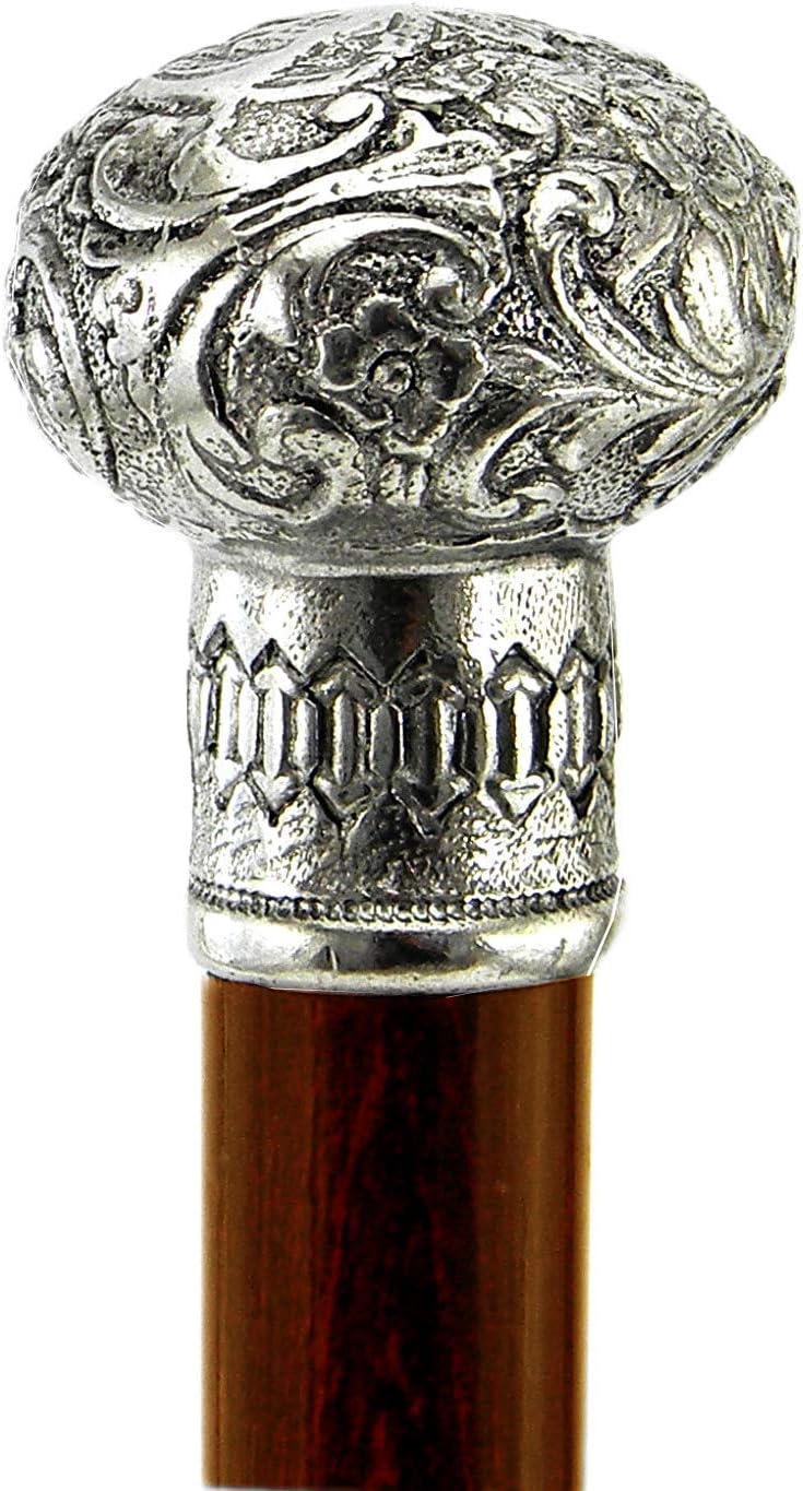 bastone da passeggio per uomini in piedi