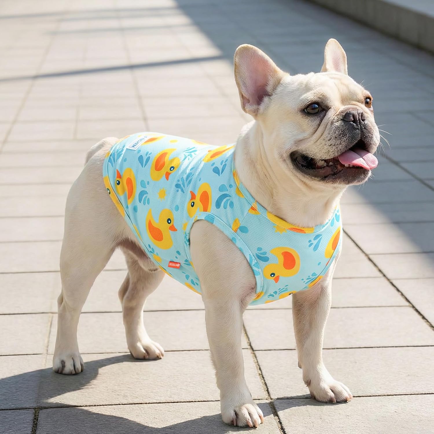 KYEESE 2Pack Dog Cooling Shirt, Breathable Dog Shirt for Small Dogs, Sun Protection Dogs Cooling Vest Tank Top, Lightweight Soft Sleeveless Summer Pet Clothes, Duck+Blue, M