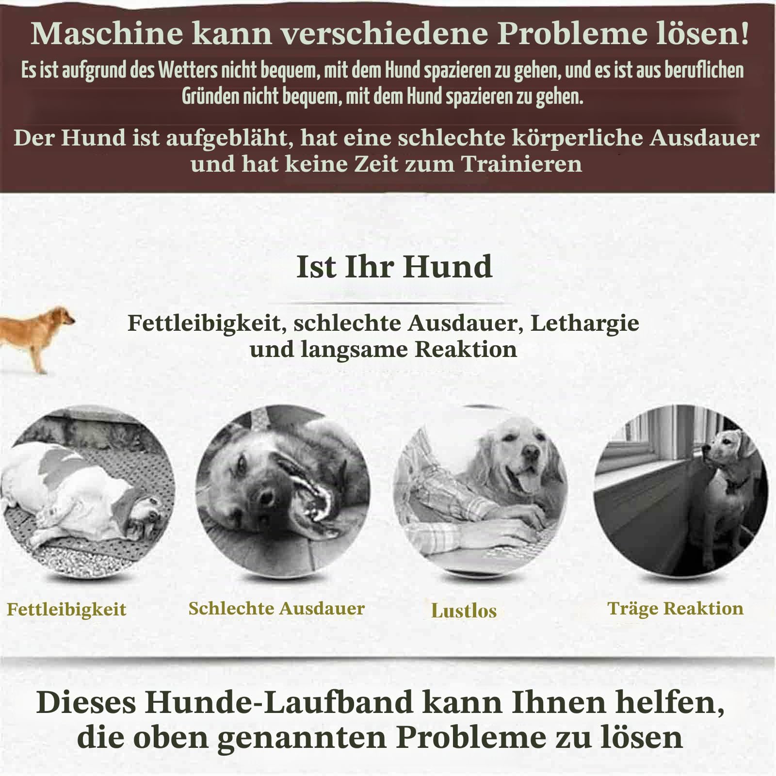 Hundelaufband für kleine und mittelgroße Hunde, Indoor-Laufband für Haustiere, Lamellenband, um Hunde aktiv und fit zu halten, Mehrere Modi und 15 einstellbare Geschwindigkeitsstufen