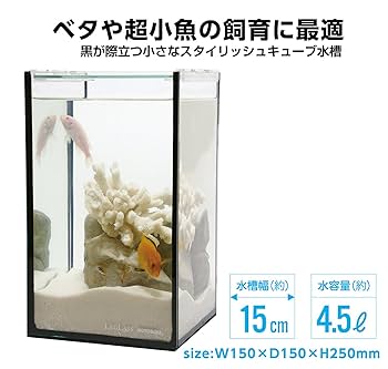 Amazon | 寿工芸 ガラス クリスタルキューブ 150HH/B サカナ用