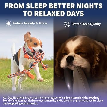 Melatonin for Dogs - Dog Melatonin with L-Theanine & Chamomile Bacon Flavor | Liquid Dog Melatonin with L-Theanine & Chamomile, Anxiety Relief & Calming, Relaxation & Sleep Support, Fast-Absorbing 60ML