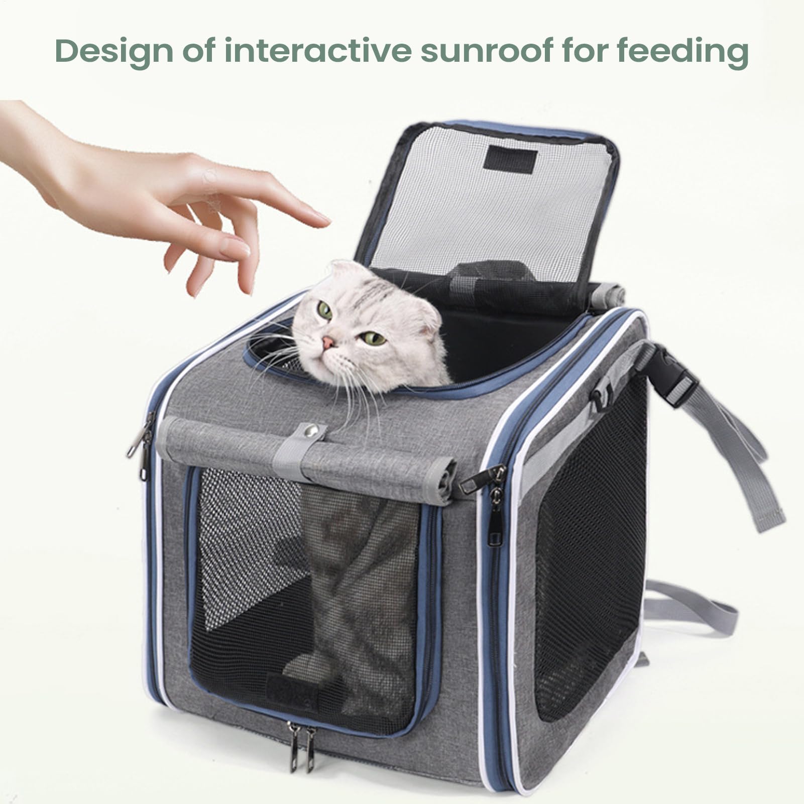 Cesta para Bicicleta para Perros | Transpirable Portátil,Cesta para Bicicleta para Mascotas,para Seguridad En Desplazamiento Al Trabajo Caminar Viaje Actividades Al Aire Libre Ciclismo Gatos