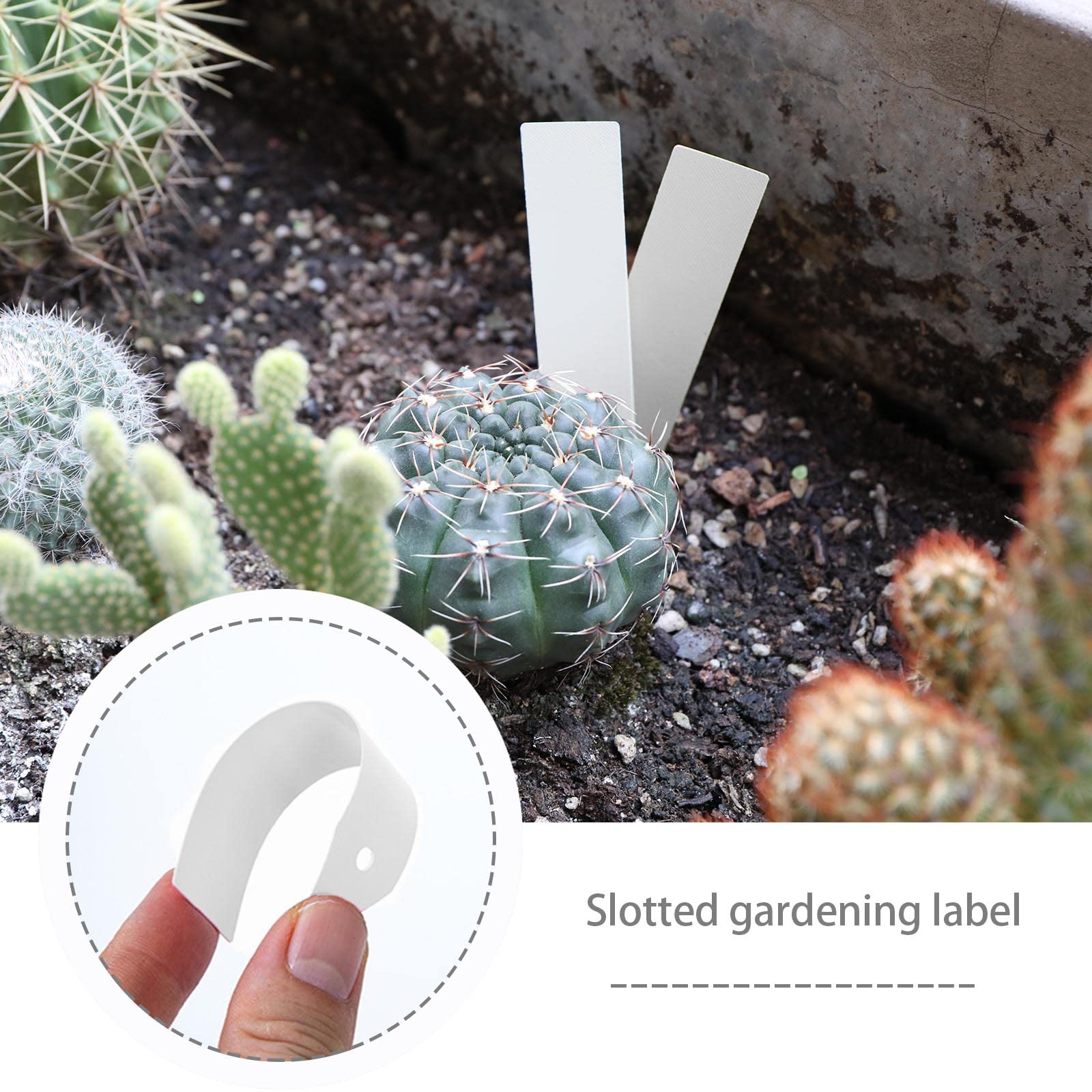 600pcs Etichette per piante da seme vassoio da giardino pentole marcatori etichette per piantine impermeabili in PVC per vaso da giardino aiuola albero da frutto, bianco